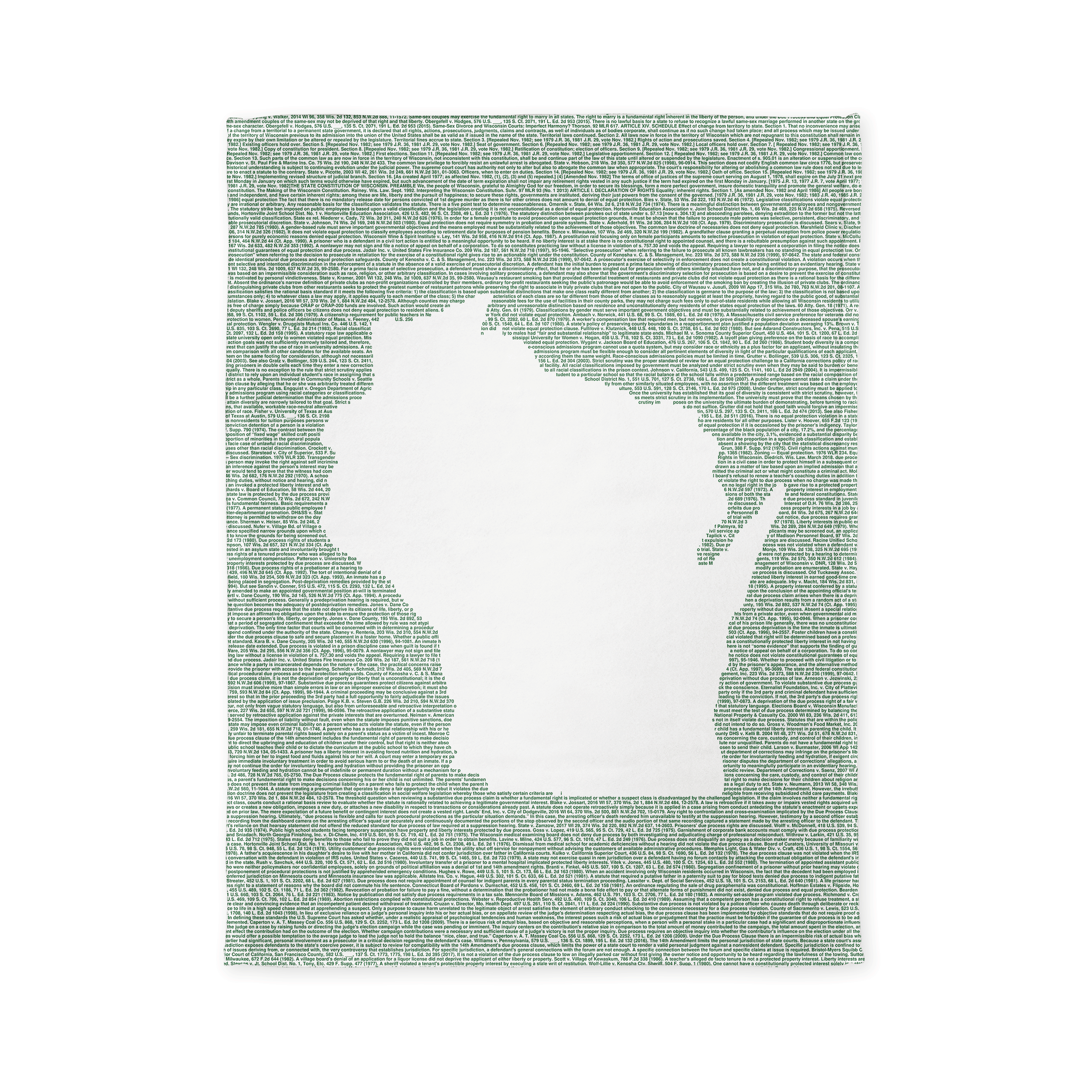 Litographs | Wisconsin’s Constitution | Book Blanket