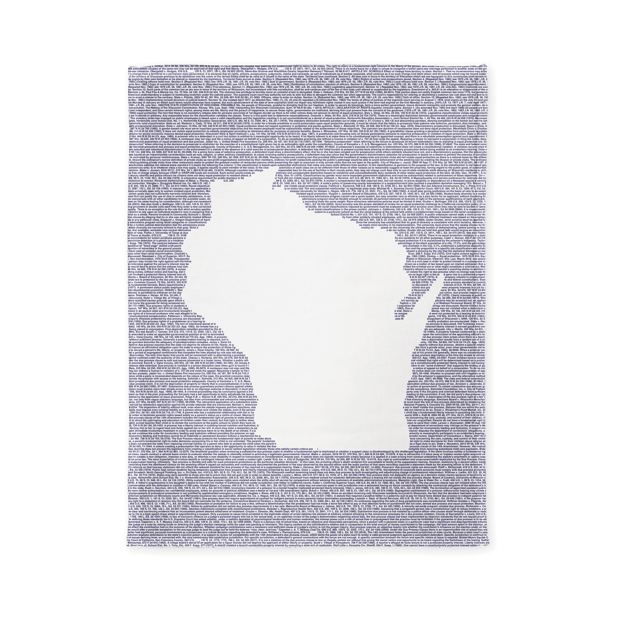 Litographs | Wisconsin’s Constitution | Book Blanket