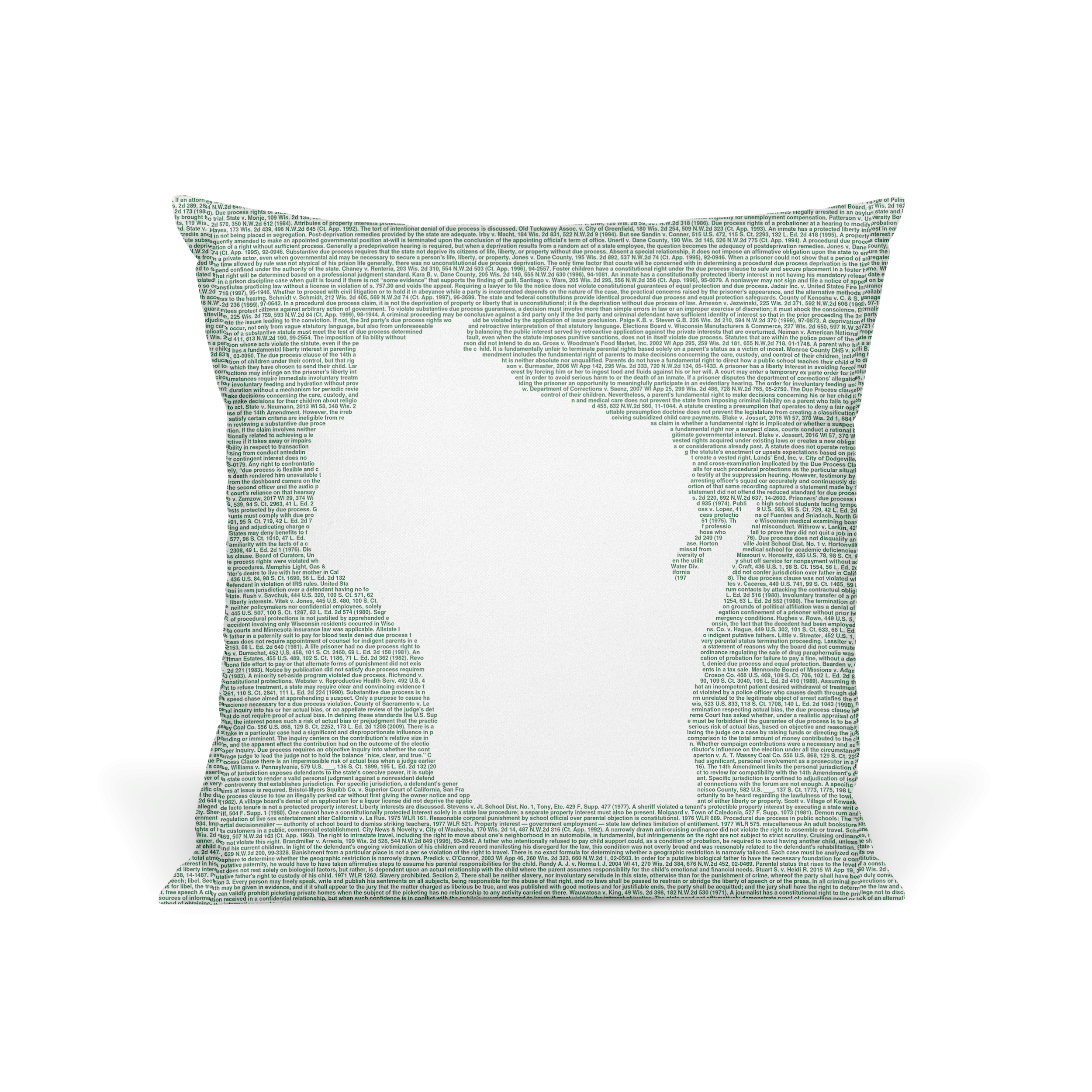 Litographs | Wisconsin’s Constitution | Book Pillow